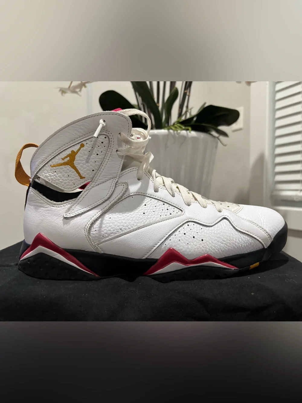 Air Jordan 7 Retro “Cardinal” (2022)